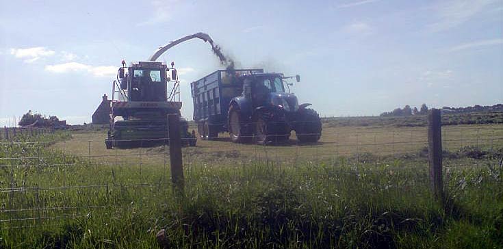 Claas Jaguar harvester and 7000 series New Holland