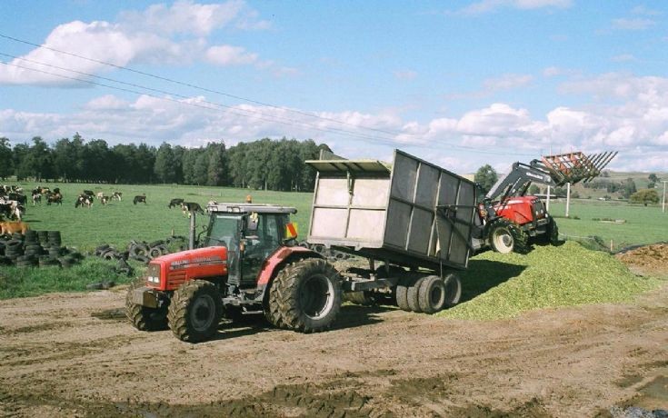 Massey Ferguson 6290