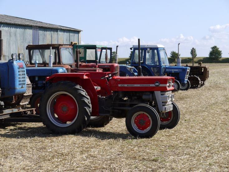 Massey 135