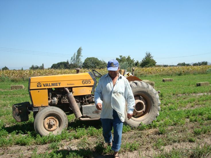 Valmet 658 Fruteiro