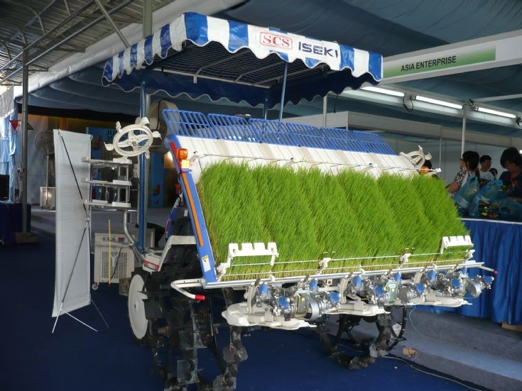 Rear view of Iseki PG63