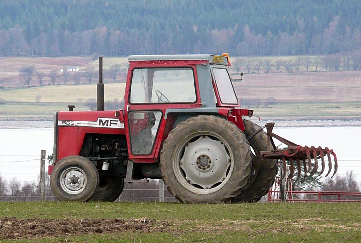 Massey Ferguson 565