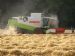 Claas Lexion 460 