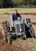 Ferguson at Sonning Ploughing Match 2011