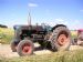 1956 Fordson E1A Diesel Major