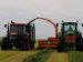 Silage at Brucefield
