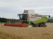 Lexion 580 tt cutting at Kildary